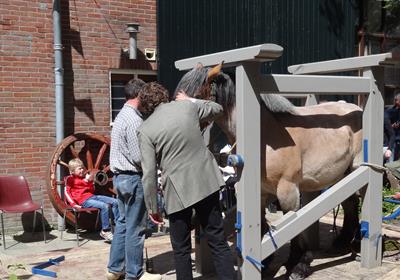 Ambachtscentrum in Goes